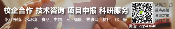 黄精海参肽有什么功效，人参黄精牡蛎肽有什功